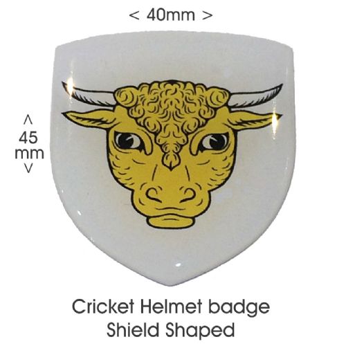 Helmet Badge Shield Shape